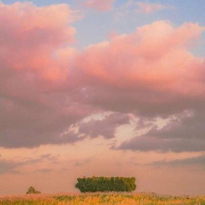 开元棋脾下载手机版