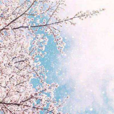 欧意在线登录截图