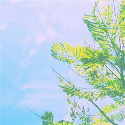 天博平台app下载中心截图