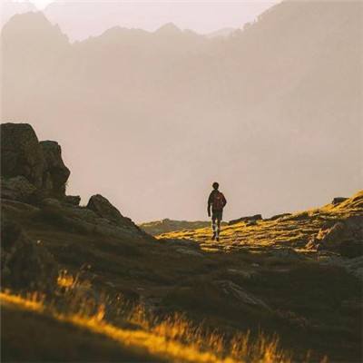 乐发彩票APP下载下载手机版