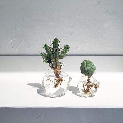 香港最准资料免费公开